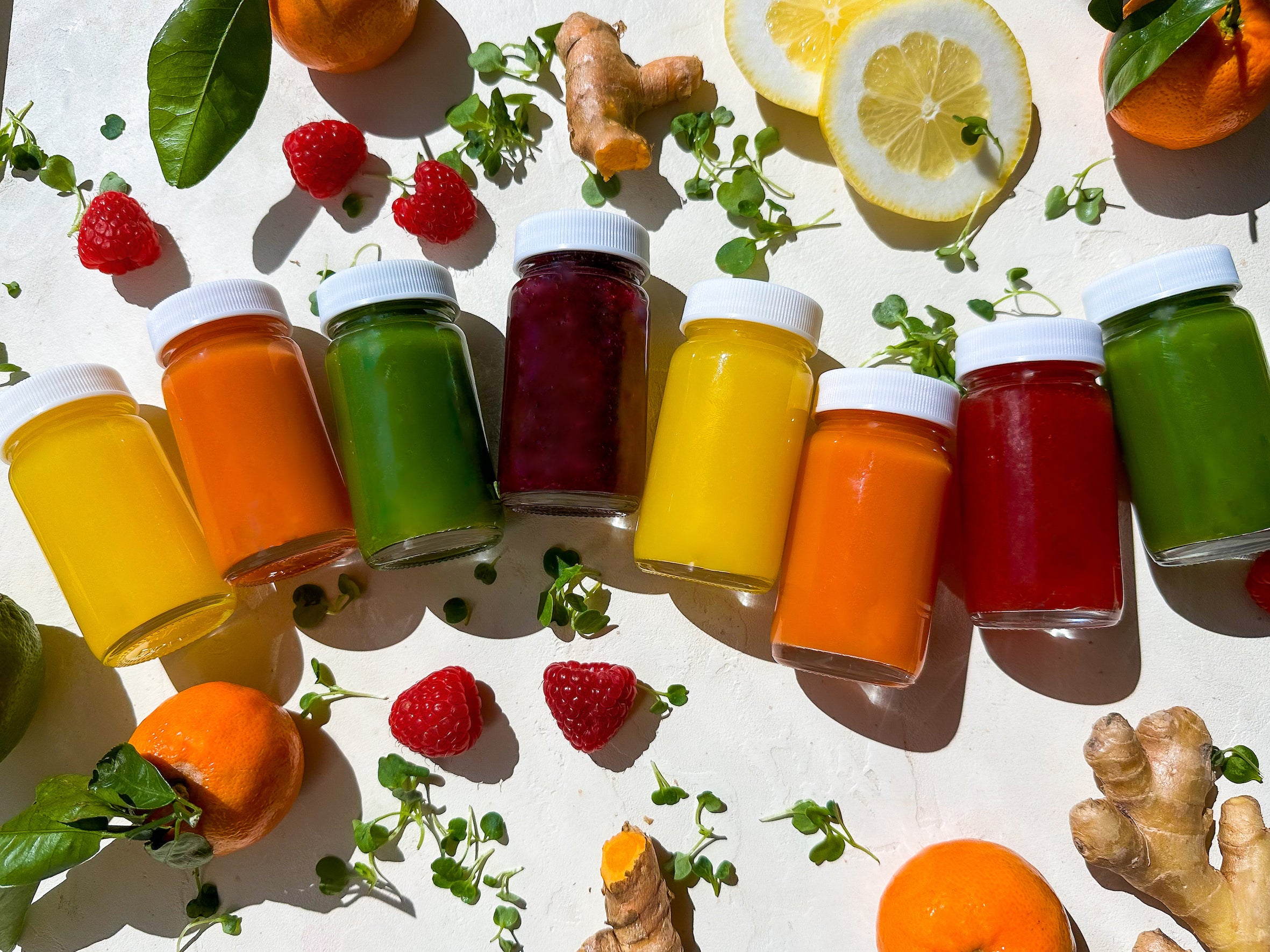 DIY Rainbow Wellness Shot Recipes